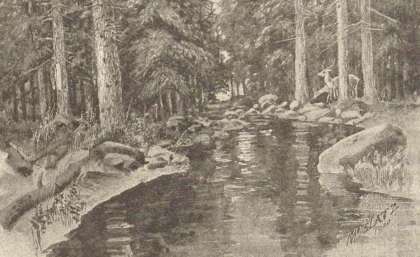 FMIB 41609 In the Forest.jpeg check categories 17 August 2015 1 In the Forest Subject Ponds--New York State Tag Limnology 1899 Cite book Annual report of the Commissioners of Fisheries Game and Forests of the State of New York for 1898 ...