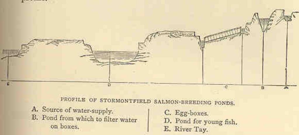 Profield of Stormontfield Salmon-Breeding Ponds.jpeg check categories 3 September 2015 3 Profield of Stormontfield Salmon-Breeding Ponds Subject Fish ponds Stormontfield Scotland Geographic Subject Scotland--Stormontfield Tag Hatcheries ...