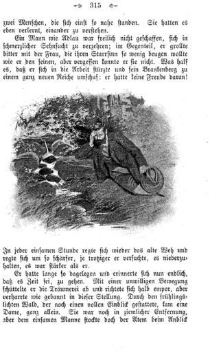 De Hexengold (Werner) 313.PNG 312 314