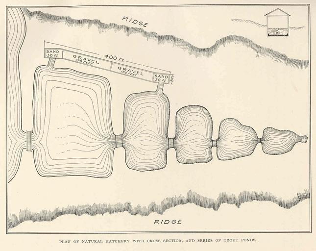 Plan of Natural Hatchery with Cross Section, and Series of Trout Ponds.jpeg check categories 17 September 2015 2 Plan of Natural Hatchery with Cross Section and Series of Trout Ponds Subject Fish hatcheries--Designs and plans Fish ...