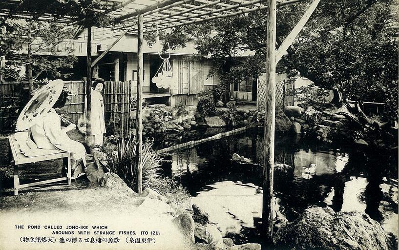 Jono-ike pond postcard.1920s.C.JPG en Jono-ike pond postcard 1920s ja 浄ノ池絵葉書より� �大正� �� �から昭和� � �の頃の浄の池� � historical postcards This file was scanned and edited by the uploader Sakaori ...