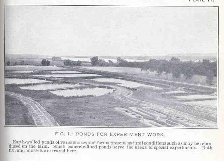 Ponds for Experiment Work.jpeg check categories 7 September 2015 4 Ponds for Experiment Work Earth-walled ponds of various sizes and forms present natural conditions such as may be reproduced on the farm Small concrete-lined ponds serve the ...