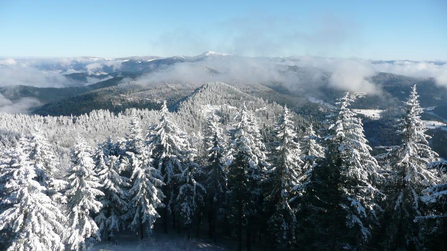 Hochblauen 37.JPG Black Forest View from the Blauen near Badenweiler towards the Belchen Own 2009-01-01 Brücke-Osteuropa ImageNote 1 1473 337 208 141 3328 1872 2 Belchen ImageNoteEnd 1 Blauen Badenweiler Views from Hochblauen Snow in ...