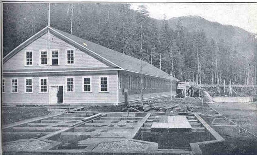 Salmon Hatchery and Rearing Ponds, Yes Bay, Alaska.jpeg check categories 18 September 2015 3 Salmon Hatchery and Rearing Ponds Yes Bay Alaska Subject Fish ponds Fish hatcheries Geographic Subject United States--Alaska--Yes Bay Tag ...