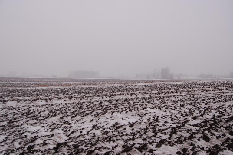 Pole zima sluzewo.jpg en The Winter landscape of the Sluzewo field pl Zimowy Krajobraz Służewa own Remik1977 Jenuary 2009 Remik1977 Krajobrazy Służewa