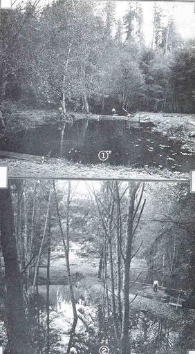 Natural Rearing Ponds, Chambers Creek Hatchery.jpeg check categories 17 September 2015 4 Natural Rearing Ponds Chambers Creek Hatchery South Tacoma Pierce County Subject Fish ponds Fish hatcheries Chambers Creek Hatchery Tacoma Washington ...