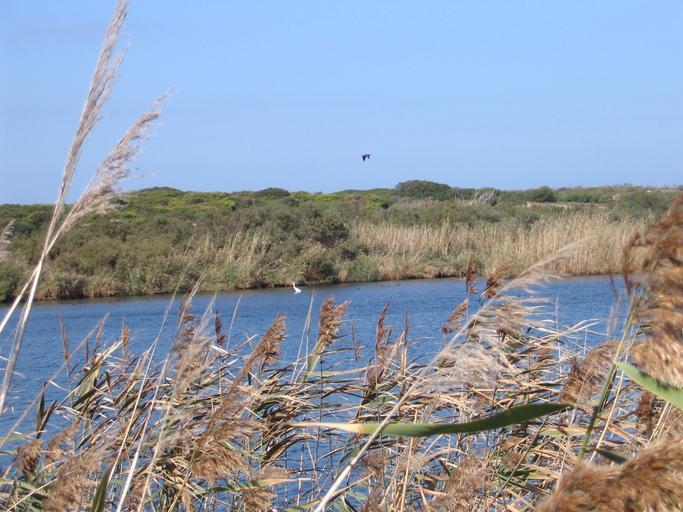 La-Perla-Blu02.jpg Lagoon La Perla Blu at the mouth of Coghinas River near Valledoria in Sardinia Own 2007-10-18 Markus Braun Valledoria Coghinas River