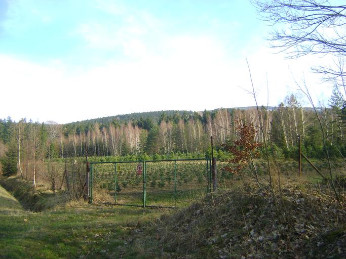 Rapická hora mit.JPG pl Rapická hora � wzniesienie w północno-środkowych Czechach w Sudetach Zachodnich w Górach Izerskich czes Jizerské hory Widok na wzniesienie od strony północno-zachodniej z czeskiej drogi nr 291 prowadzącej ...