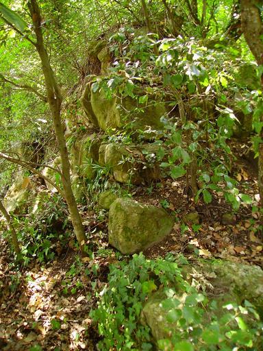 Galatrona Castle GM (5).JPG The walls og Galatrona Castle Own 2008-07 Giorgiomonteforti Own work all rights released Public domain Castello di Galatrona