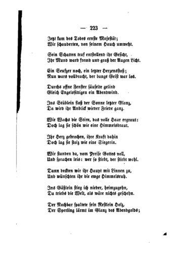 Palmblätter (Gerok) 223.jpg 222 224