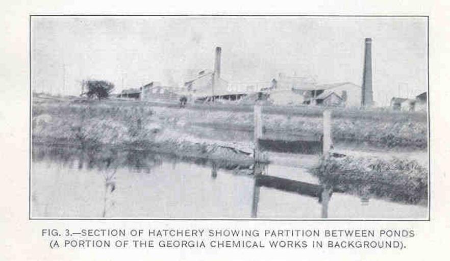 Section of hatchery showing partition between ponds.jpeg check categories 12 September 2015 3 Section of hatchery showing partition between ponds A portion of the Georgia Chemical Works in background Subject Fish ponds Mosquitoes--Control ...