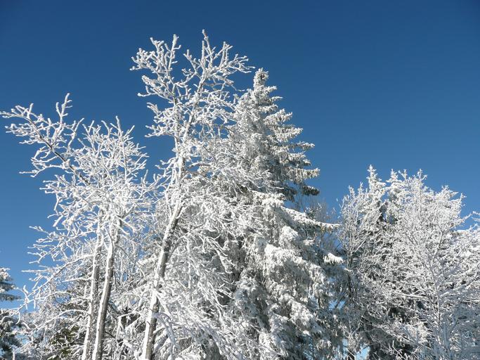 Hochblauen 14.JPG Mountain Hochblauen of the Black Forest near Badenweiler Own 2009-01-01 Brücke-Osteuropa Blauen Badenweiler Snow in Landkreis Lörrach Winter 2008-2009 in Landkreis Lörrach Hoar frost in Baden-Württemberg