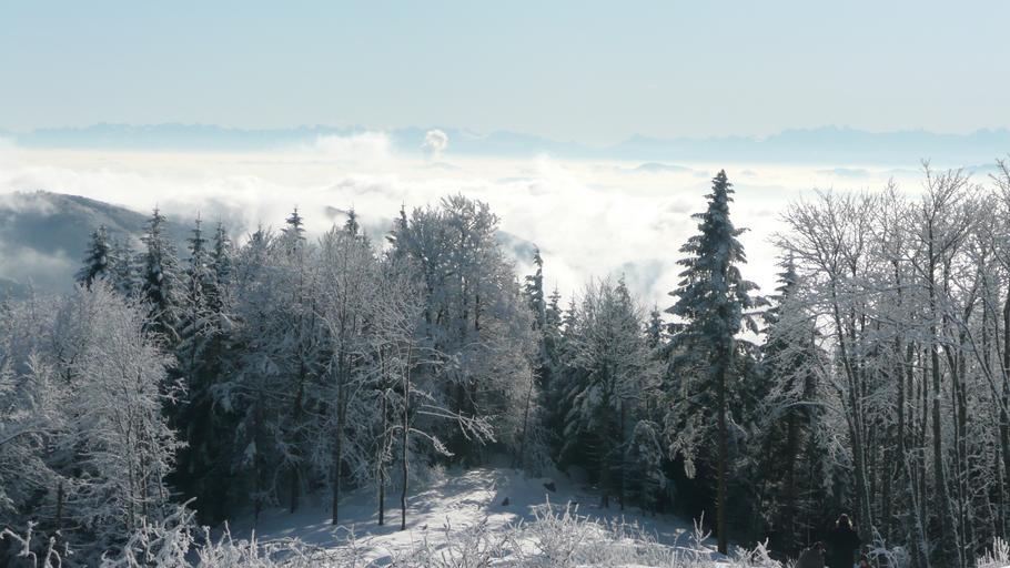Hochblauen 46.JPG Mountain Hochblauen of the Black Forest near Badenweiler Own 2009-01-01 Brücke-Osteuropa Blauen Badenweiler Views from Hochblauen Snow in Landkreis Lörrach Winter 2008-2009 in Landkreis Lörrach Hoar frost in ...