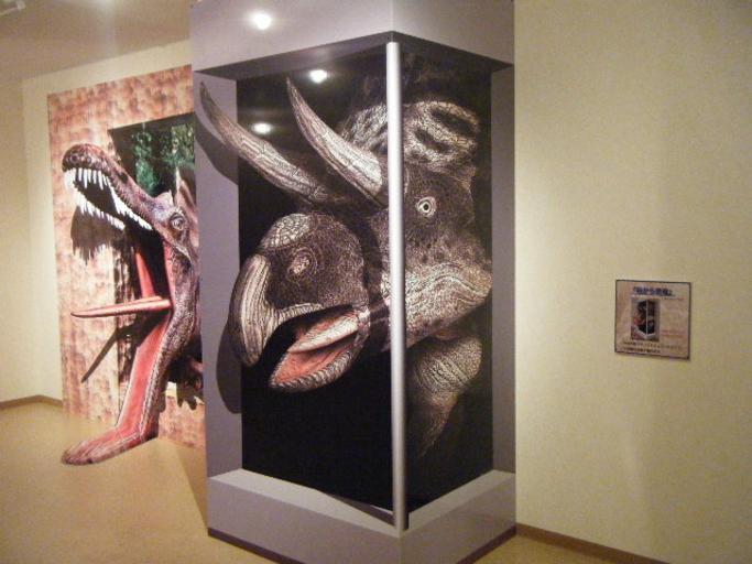 Taiyo Park 0001 17.jpg en Trick art museum Interior of 白鳥城 Hakucho-Castle or Shiratori-Castle Taiyo Park Himeji City Hyogo Prefecture Japan 2012-05-27 16 45 00 own Brakeet other versions cc-zero Taiyo Park