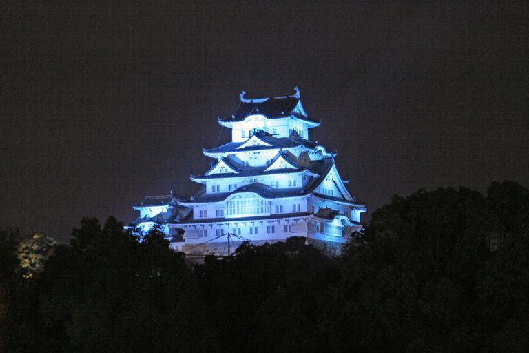 Blue Himeji Castle at night 04.jpg ja 2008年11� �14日の� � �� �世界糖尿病デー� �のテーマカラーのブルーにライトアップされた姫路城� �南� �側から撮影� � Own Corpse Reviver 2008-11-14 Himeji Castle at ...