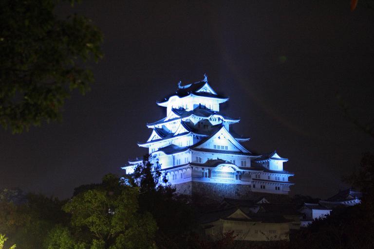 Blue Himeji Castle at night 02.jpg ja 2008年11� �14日の� � �� �世界糖尿病デー� �のテーマカラーのブルーにライトアップされた姫路城� �南� �側から撮影� � Own Corpse Reviver 2008-11-14 Himeji Castle at ...