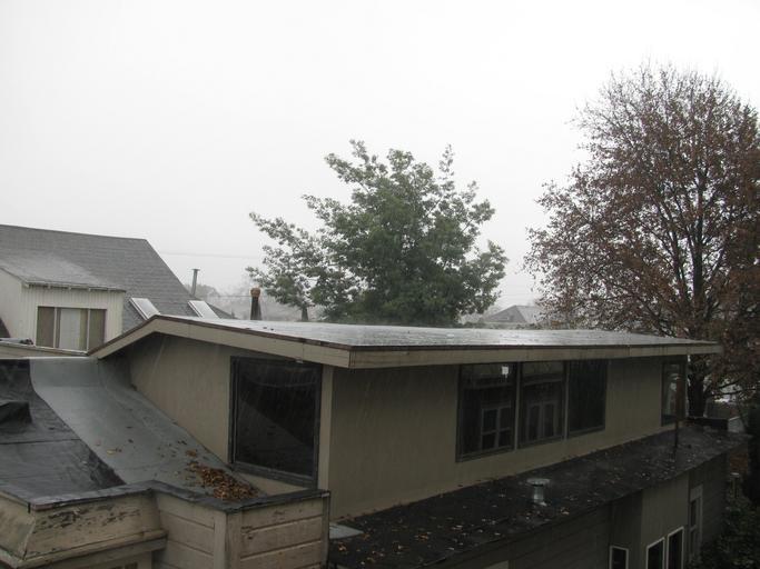 rain golden gate district goldengatedistrict 94608 oakland lottie lane lottielane outdoor blackandwhite black and white IMG_3933 Explore mlinksva's 21522 photos on Flickr!