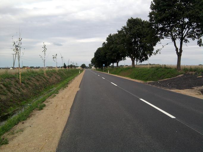 Droga wojewódzka nr 187 (2).jpg pl Droga wojewódzka nr 187 Widok w stronę miejscowości Otorowo own Kichu66 Cc-zero Voivodeship road 187 Poland Gmina Szamotuły