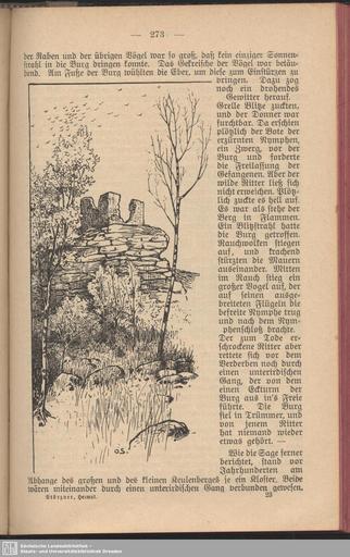 Was die Heimat erzählt (Störzner) 273.jpg 272 274