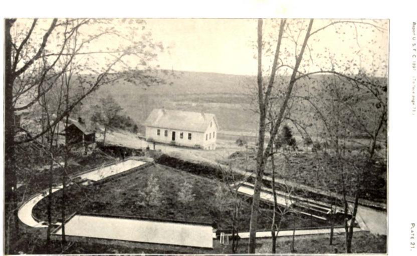 View of Wytheville Station, Showing Breeding Ponds.jpeg check categories 18 September 2015 3 View of Wytheville Station Showing Breeding Ponds With Hatchery in the Background Subject Fish ponds Fish hatcheries Geographic Subject United ...