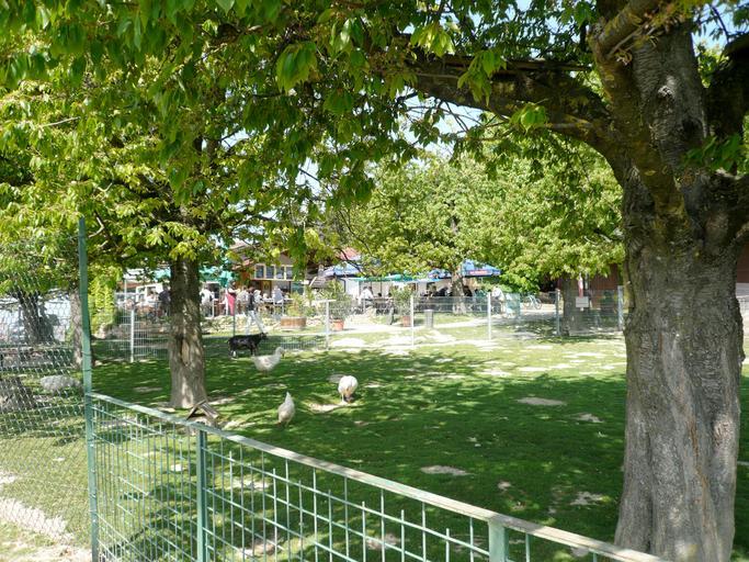 Lenzenberg.jpg en Lenzenberg with restaurant on the Southern fringe of Kaiserstuhl Own Ramessos 2009-04 Check categories 2009 May 5 de wikipedia Kaiserstuhl_ Baden 1 Kaiserstuhl