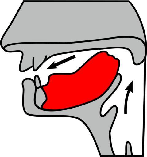 Velaar.svg Velaar fonetiek Velar consonant articulation Fockley magh corockle coghooysagh thumb Of this SVG Roland Geider Ogre ; of the original the respective author Files by User Ben Pirard Articulation place diagram