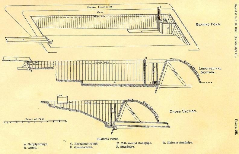 FMIB 32549 Rearing Pond.jpeg Rearing Pond Subject Fish ponds Tag Hatcheries 1897 Cite book Manual of fish-culture based on the methods of the United States Commission of Fish and Fisheries Baird John J Washington DC Government Printing ...