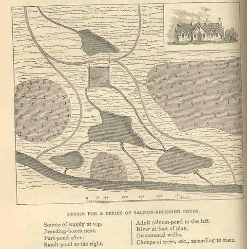 Design for a Series of Salmon-Breeding Ponds.jpeg check categories 3 September 2015 3 Design for a Series of Salmon-Breeding Ponds Subject Fish ponds Fish hatcheries Tag Hatcheries 1873 Cite book Harvest of the Sea including Sketches of ...