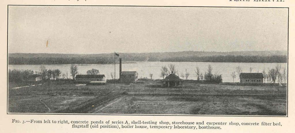 From left to right, concrete ponds of series A, shell-testing shop, storehouse and carpenter shop, concrete filter bed.jpeg check categories 27 August 2015 3 From left to right concrete ponds of series A shell-testing shop storehouse and ...