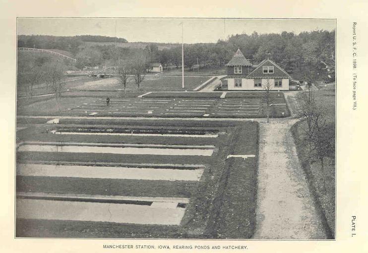 FMIB 33347 Manchester Station, Iowa.jpeg check categories 14 August 2015 3 Manchester Station Iowa Rearing Ponds and Hatchery Subject Fish ponds Fish hatcheries Geographic Subject United States--Iowa--Manchester Tag Hatcheries 1897/1898 ...