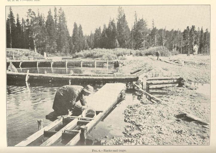 FMIB 37628 Racks and traps.jpeg check categories 4 September 2015 3 Racks and traps Subject Fish hatcheries Fish ponds Tag Hatcheries 1924 Cite book Artificial Propagation of Brook Trout and Rainbow Trout with notes on Three Other Species ...