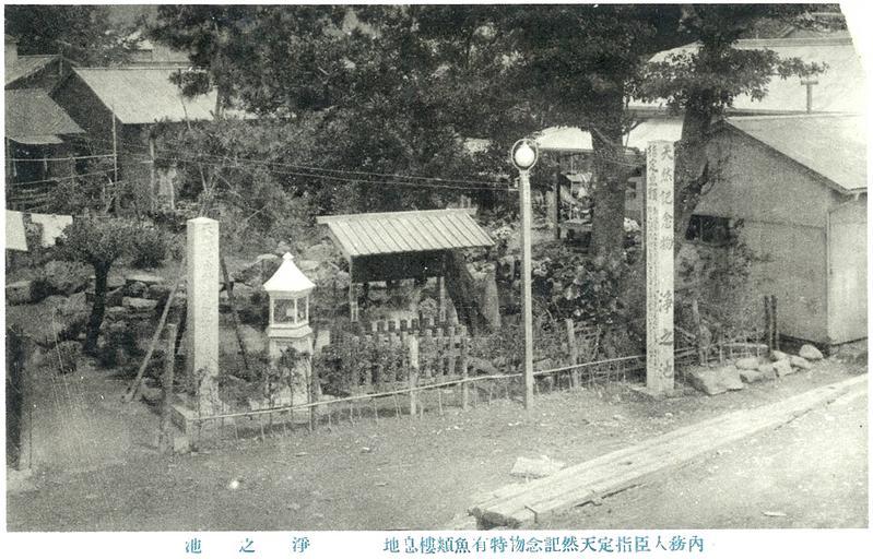 Jono-ike pond postcard.1920s.A.JPG en Jono-ike pond postcard 1920s ja 浄ノ池絵葉書より� �大正� �� �から昭和� � �の頃の浄の池� � historical postcards This file was scanned and edited by the uploader Sakaori ...