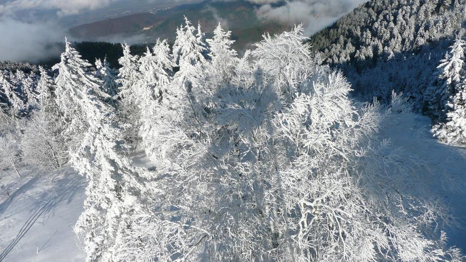 Hochblauen 38.JPG Mountain Hochblauen of the Black Forest near Badenweiler Own 2009-01-01 Brücke-Osteuropa Blauen Badenweiler Snow in Landkreis Lörrach Winter 2008-2009 in Landkreis Lörrach Hoar frost in Baden-Württemberg