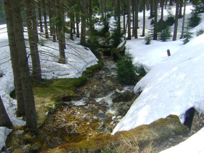 Rychlik mit.JPG pl Górski strumień w południowo zachodniej Polsce w Górach Izerskich lewy dopływ Kamiennej own Timaska 2012-04-21 Strumień w zimie Widok od strony południowo zachodniej ze Starej Szklarskiej Drogi Cc-zero Jizera ...