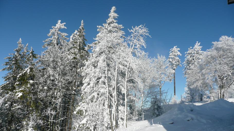 Hochblauen 22.JPG Mountain Hochblauen of the Black Forest near Badenweiler Own 2009-01-01 Brücke-Osteuropa Blauen Badenweiler Snow in Landkreis Lörrach Winter 2008-2009 in Landkreis Lörrach Hoar frost in Baden-Württemberg