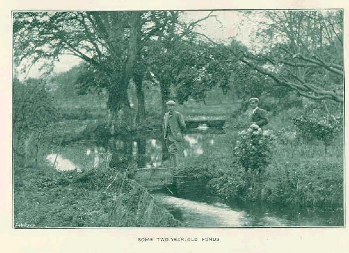 Some Two-Year-Old Ponds.jpeg check categories 14 August 2015 3 Some Two-Year-Old Ponds Subject Fishing Fish-culture Fish ponds Tag Sport Fishing 1899 Cite book The Trout Rutland Henry John Brinsley Manners Duke of New York Longmans Green ...