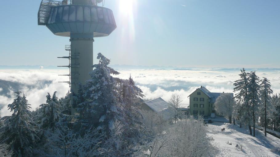Hochblauen 42.JPG Mountain Hochblauen of the Black Forest near Badenweiler Own 2009-01-01 Brücke-Osteuropa Blauen Badenweiler Views from Hochblauen Snow in Landkreis Lörrach Winter 2008-2009 in Landkreis Lörrach Views of the Alps from ...