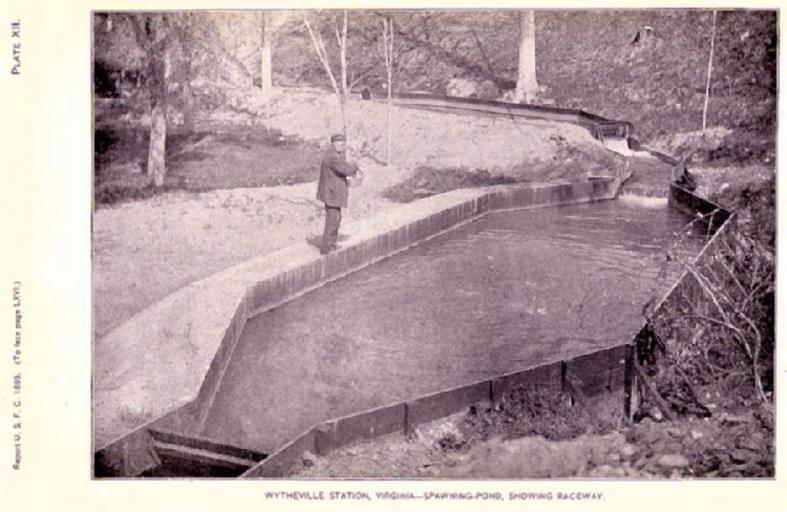 Wytheville Station, Virginia.jpeg check categories 15 August 2015 3 Wytheville Station Virginia Spawning-Pond Showing Raceway Subject Fish ponds Geographic Subject United States--Virginia--Wytheville Tag Hatcheries 1899 Cite book Report on ...