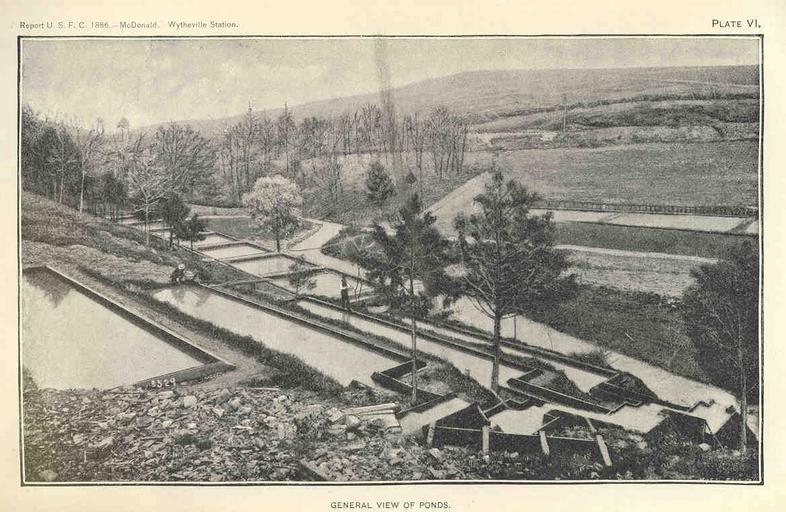 Wytheville Station, Virginia.jpeg check categories 15 August 2015 3 Wytheville Station Virginia General View of Ponds Subject Fish ponds Wytheville Station Virginia Geographic Subject United States--Virginia--Wytheville Tag Hatcheries 1886 ...