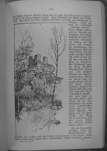 Störzner WdHe 273.JPG 272 274