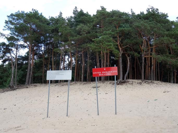 Otorowo BialaGora 1 7-2015.jpg pl Użytek ekologiczny Biała Góra w pobliżu wsi Otorowo gmina Solec Kujawski Puszcza Bydgoska 2015-07-29 18 35 23 own Pit1233 other versions 53 082175 18 190913055556 cc-zero Uploaded with UploadWizard ...