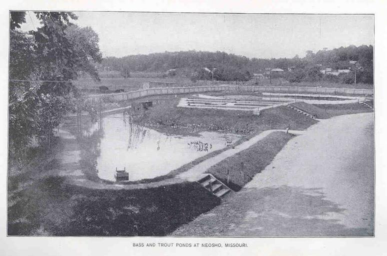 Bass and Trout Ponds at Neosho, Missouri.jpeg check categories 18 September 2015 4 Bass and Trout Ponds at Neosho Missouri Subject Fish ponds Geographic Subject United States--Missouri--Neosho Tag Hatcheries 1896/1897 Cite book Manual of ...