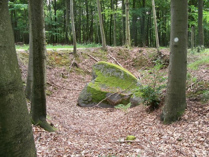 Głaz pod Smęcinem.JPG pl Głaz narzutowy - pomnik przyrody - pod Smęcinem w Gminie Tychowo własne Brogaj 2011-07-10 Cc-zero Smęcino Glacial erratics in Poland