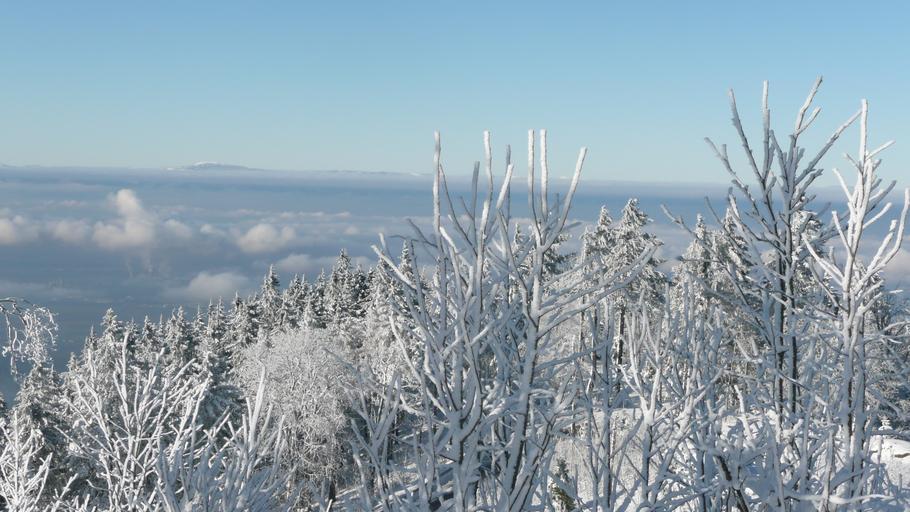 Hochblauen 30.JPG Mountain Hochblauen of the Black Forest near Badenweiler Own 2009-01-01 Brücke-Osteuropa Blauen Badenweiler Views from Hochblauen Snow in Landkreis Lörrach Winter 2008-2009 in Landkreis Lörrach Hoar frost in ...