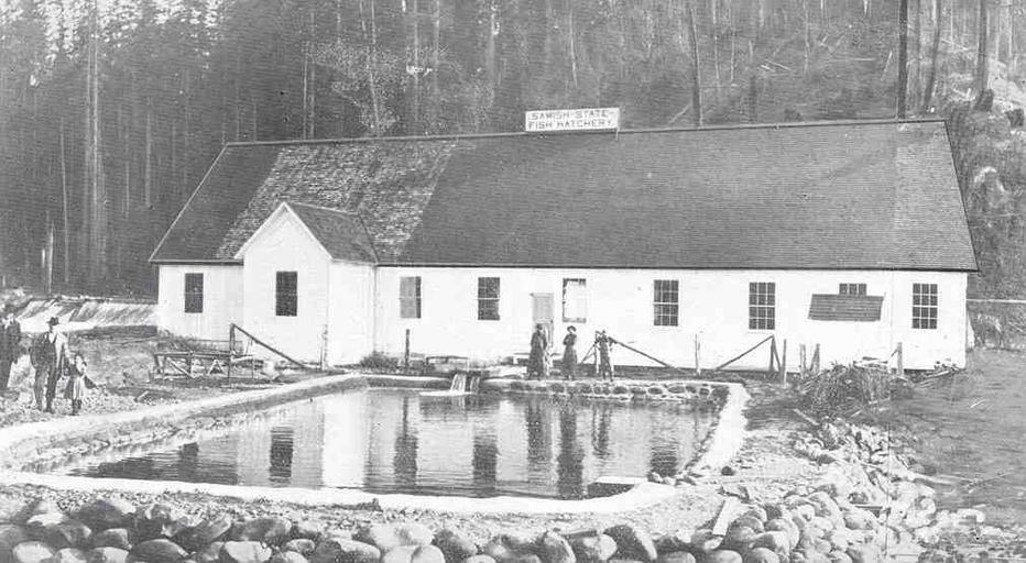 Samish Salmon Hatchery, Showing New Concrete Rearing Ponds.jpeg check categories 17 September 2015 4 Samish Salmon Hatchery Showing New Concrete Rearing Ponds Subject Fish hatcheries Fish ponds Geographic Subject United States--Washington ...