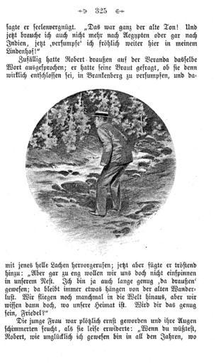 De Hexengold (Werner) 323.PNG 322 324