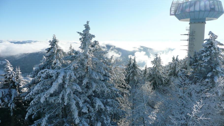 Hochblauen 48.JPG Mountain Hochblauen of the Black Forest near Badenweiler Own 2009-01-01 Brücke-Osteuropa Blauen Badenweiler Views from Hochblauen Snow in Landkreis Lörrach Winter 2008-2009 in Landkreis Lörrach