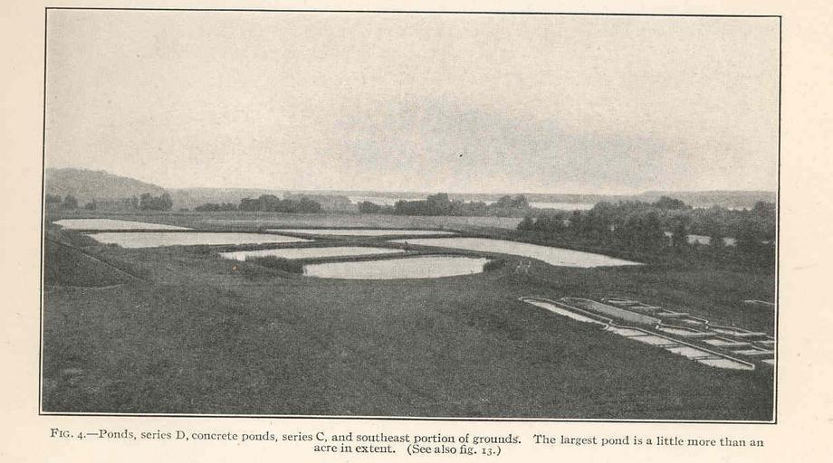 The largest pond is a little more than an acre in.jpeg check categories 27 August 2015 4 Ponds series D concrete ponds series C and southeast portion of grounds The largest pond is a little more than an acre in extent Subject Biological ...