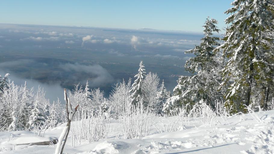 Hochblauen 20.JPG Mountain Hochblauen of the Black Forest near Badenweiler Own 2009-01-01 Brücke-Osteuropa Blauen Badenweiler Views from Hochblauen Snow in Landkreis Lörrach Winter 2008-2009 in Landkreis Lörrach Hoar frost in ...