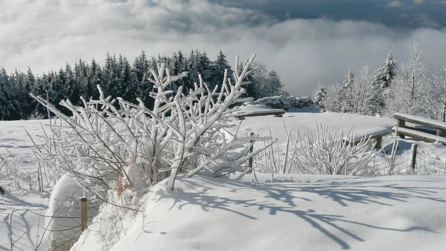 Hochblauen 18.JPG Mountain Hochblauen of the Black Forest near Badenweiler Own 2009-01-01 Brücke-Osteuropa Blauen Badenweiler Snow in Landkreis Lörrach Winter 2008-2009 in Landkreis Lörrach Hoar frost in Baden-Württemberg